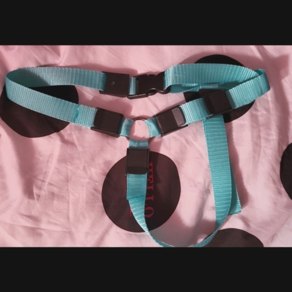 Custom new strap-on harness ( ftm )